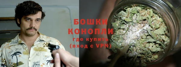 ПСИЛОЦИБИНОВЫЕ ГРИБЫ Алексеевка