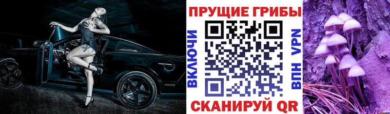 МЕГА ССЫЛКА  Ивангород  Псилоцибиновые грибы Magic Shrooms 